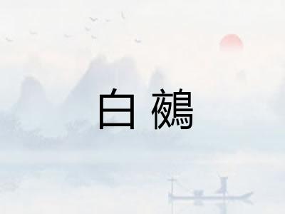 白鵺 白鵺