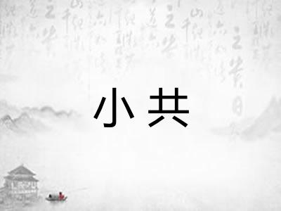 小共 小共