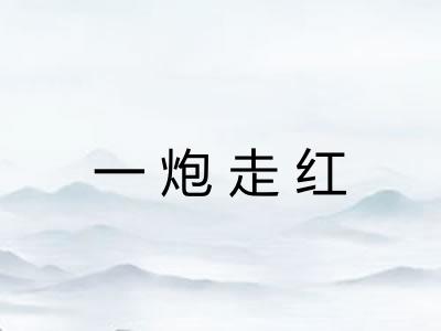 一炮走红 一炮走红