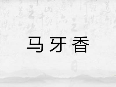 马牙香 马牙香