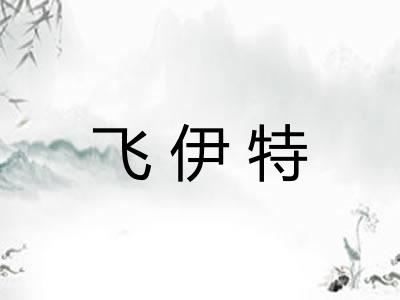 飞伊特 飞伊特