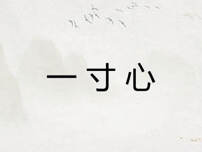 一寸心 一寸心