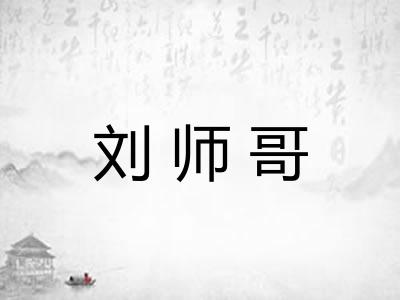 刘师哥 刘师哥
