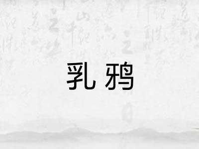 乳鸦