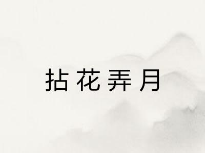 拈花弄月 拈花弄月