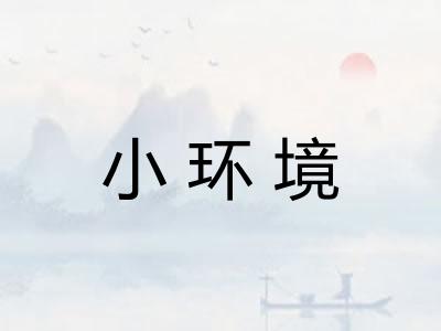小环境 小环境