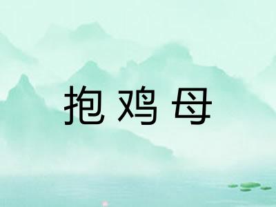 抱鸡母 抱鸡母