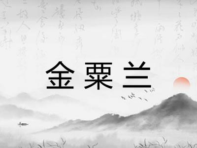 金粟兰 金粟兰