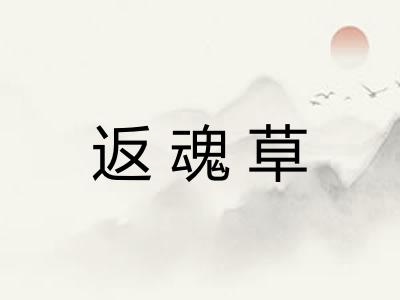 返魂草 返魂草
