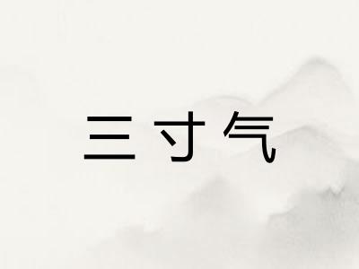 三寸气