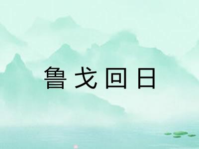 鲁戈回日 鲁戈回日