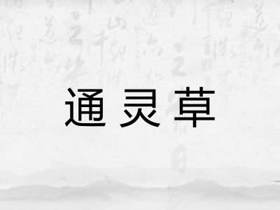 通灵草 通灵草