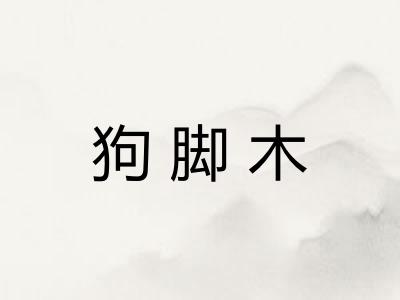 狗脚木