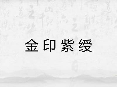 金印紫绶 金印紫绶
