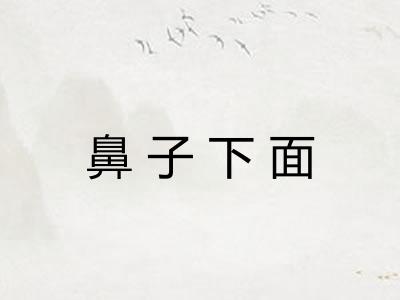 鼻子下面 鼻子下面