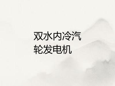 双水内冷汽轮发电机 双水内冷汽轮发电机