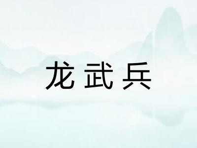 龙武兵