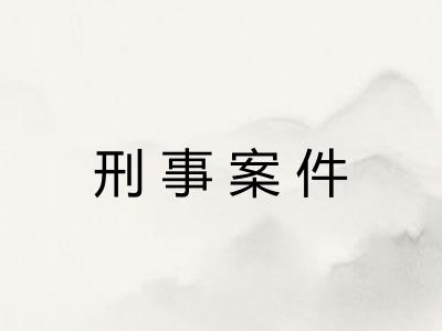 刑事案件 刑事案件