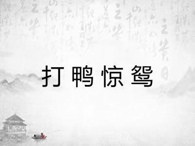 打鸭惊鸳 打鸭惊鸳