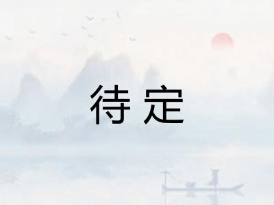 待定 待定