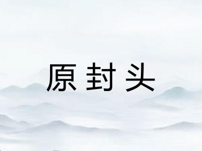 原封头 原封头