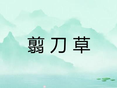 翦刀草 翦刀草
