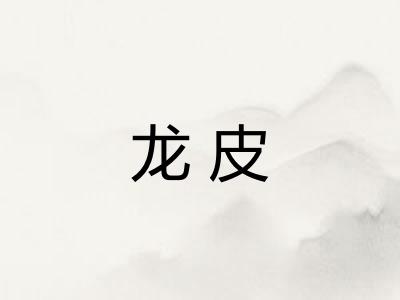 龙皮