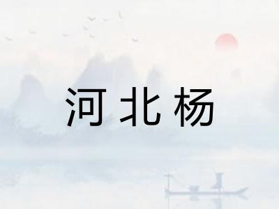 河北杨
