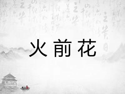火前花 火前花