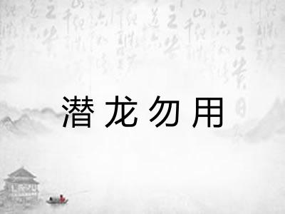 潜龙勿用 潜龙勿用
