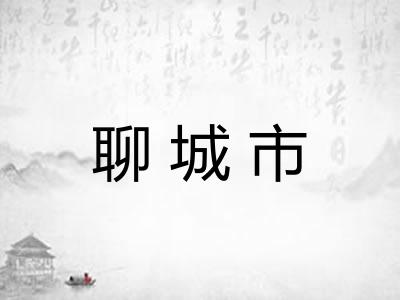 聊城市 聊城市