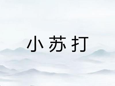 小苏打 小苏打