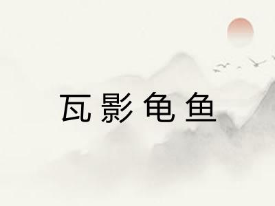 瓦影龟鱼 瓦影龟鱼