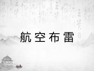 航空布雷 航空布雷