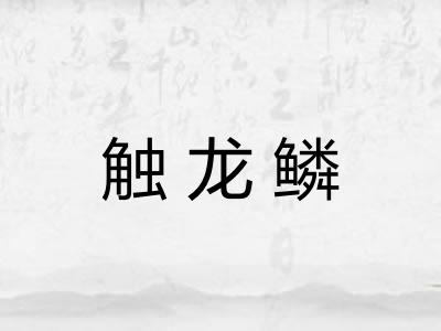 触龙鳞 触龙鳞