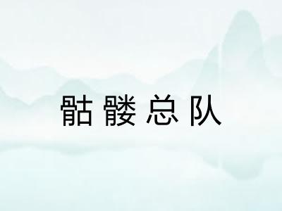 骷髅总队 骷髅总队