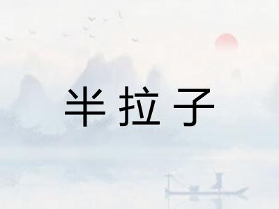 半拉子 半拉子