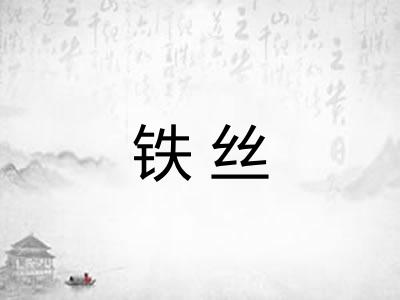铁丝 铁丝