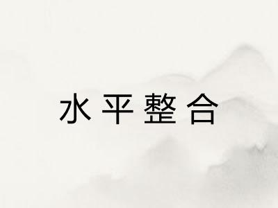 水平整合 水平整合