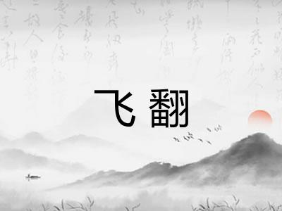 飞翻 飞翻