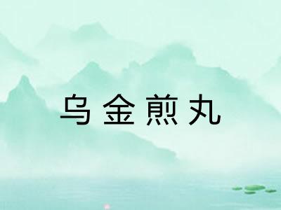 乌金煎丸 乌金煎丸