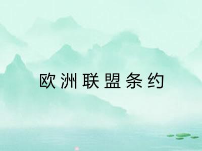 欧洲联盟条约 欧洲联盟条约