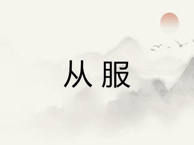 从服 从服