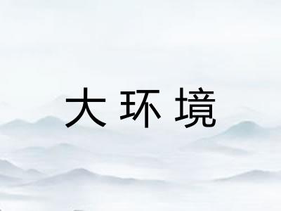 大环境