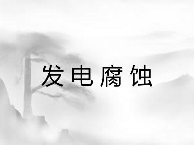 发电腐蚀 发电腐蚀