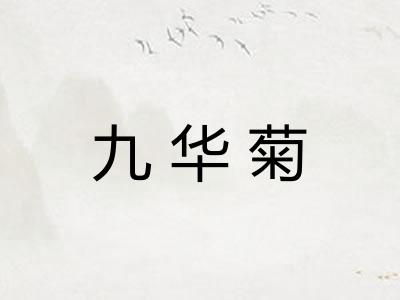 九华菊