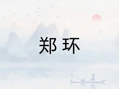 郑环