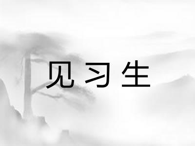 见习生 见习生