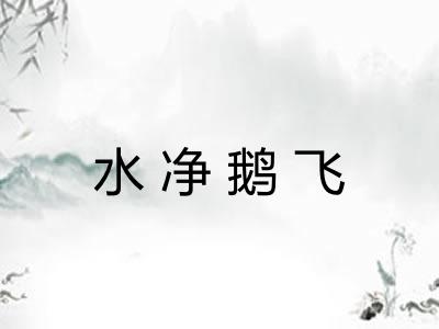 水净鹅飞 水净鹅飞