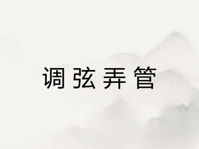 调弦弄管 调弦弄管